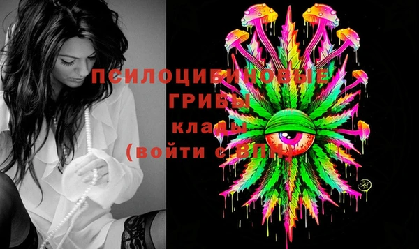 герыч Алексин