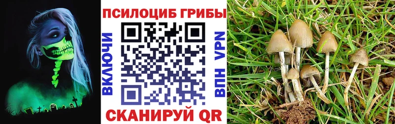 Псилоцибиновые грибы Magic Shrooms  Пугачёв 